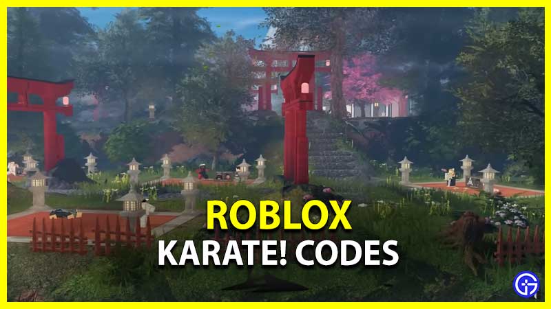 Roblox Karate Codes