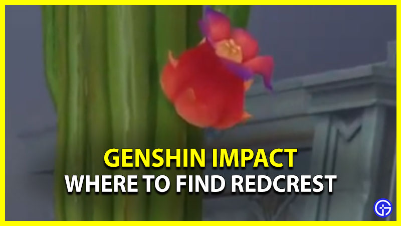 Where To Find Redcrest In Genshin Impact