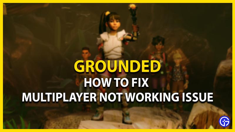 how to fix multiplayer not working issue