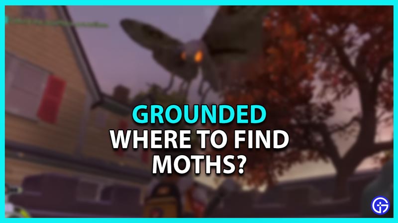 How to find moths in Grounded
