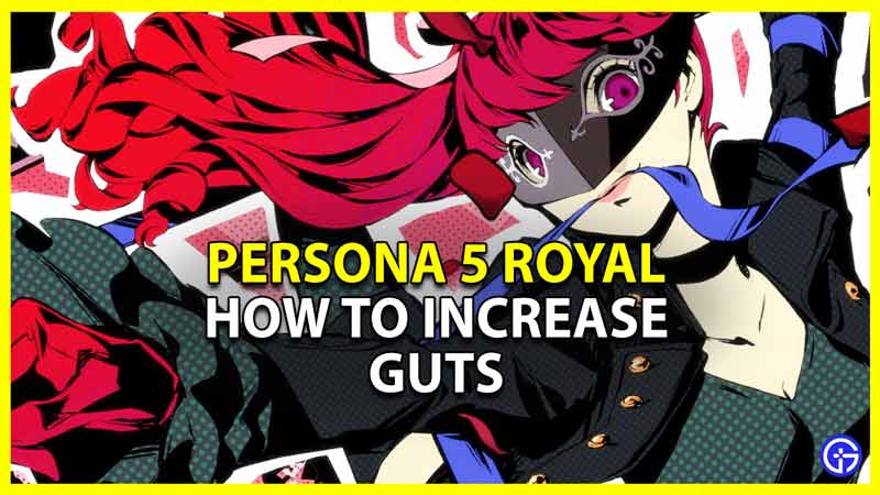 how to increase guts in persona 5 royal