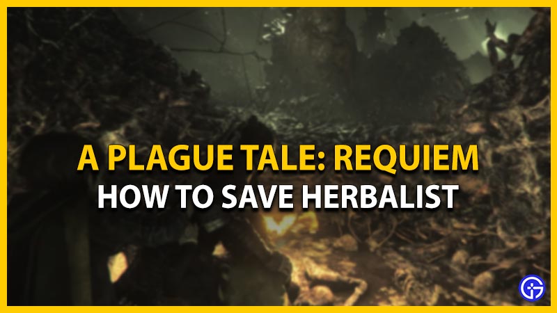 Can You Save the Herbalist in A Plague Tale: Requiem? Answered