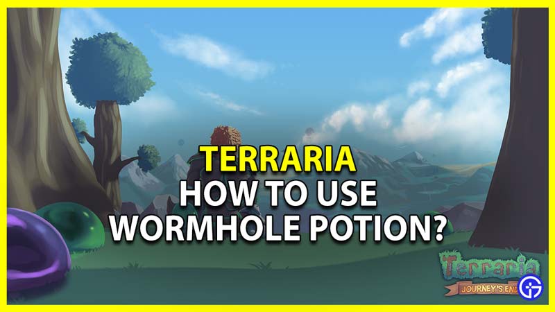 How to use wormhole potion in Terraria