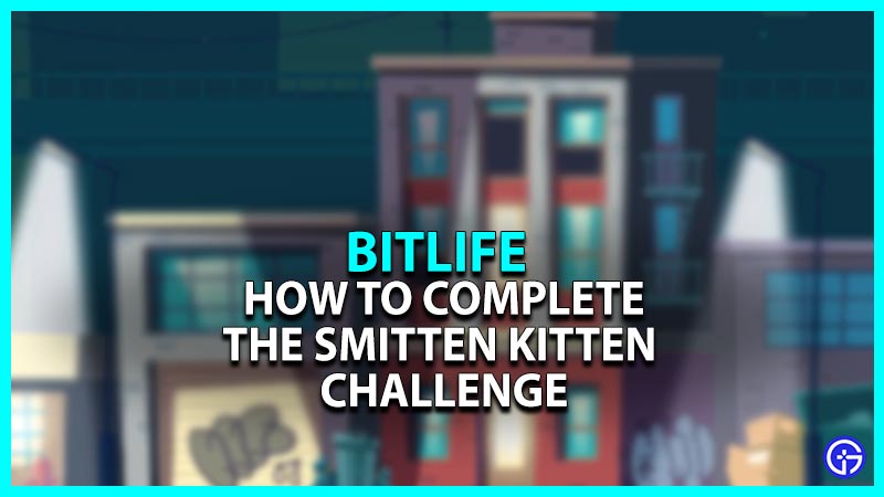 How To Complete The Smitten Kitten Challenge In Bitlife