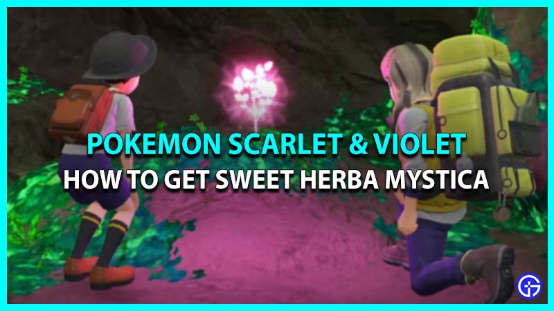 Location To Farm & Get Sweet Herba Mystica In Pokemon Scarlet & Violet