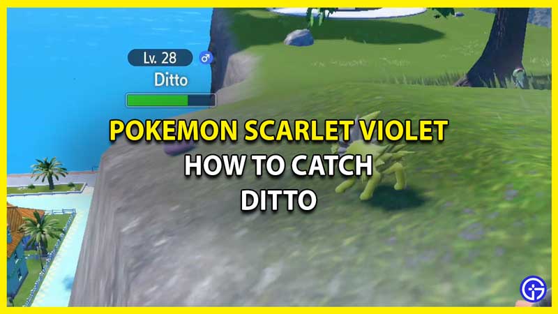 How to Catch Ditto in Pokemon Scarlet Violet