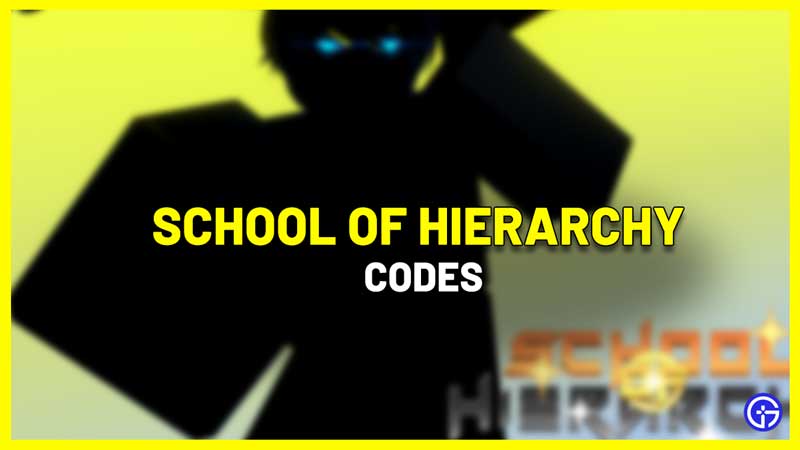 School of Hierarchy Codes
