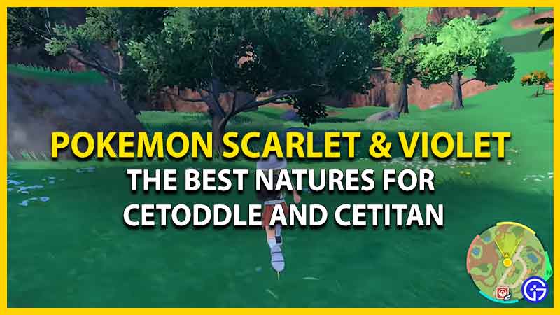 Natures for Cetoddle and Cetitan in Pokemon SV