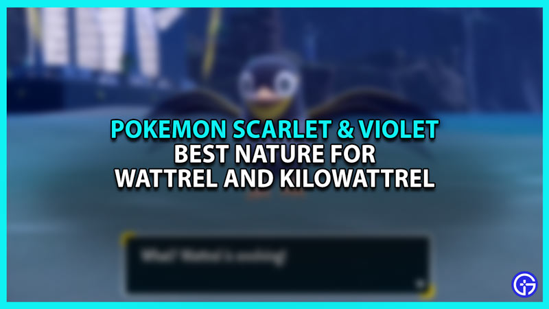 Best Nature for Wattrel and Kilowattrel in Pokemon Scarlet and Violet