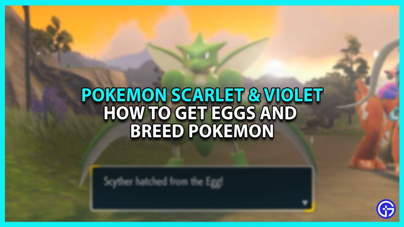 Pokemon Scarlet and Violet How to Get Eggs and Breed Pokemon