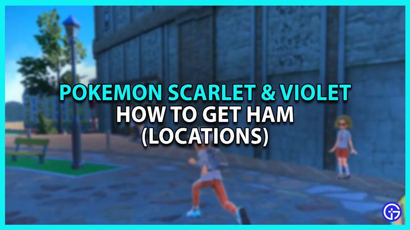 How to get Ham in Pokemon Scarlet and Violet