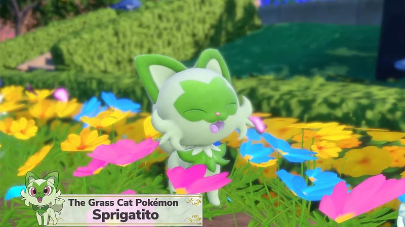 best sprigatito floragato and meowscarada nature in pokemon scarlet violet