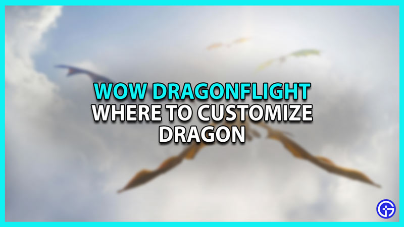 Where to customize Dragon in WoW Dragonflight
