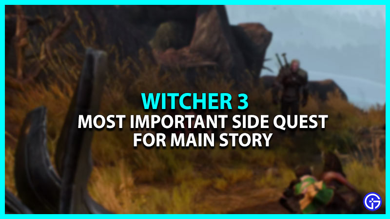 Most Important Side Quests That Impact Story In Witcher 3