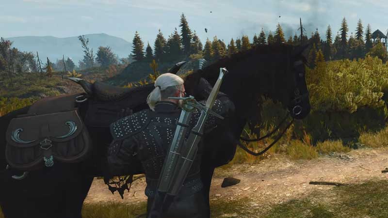Witcher 3 Petting Roach