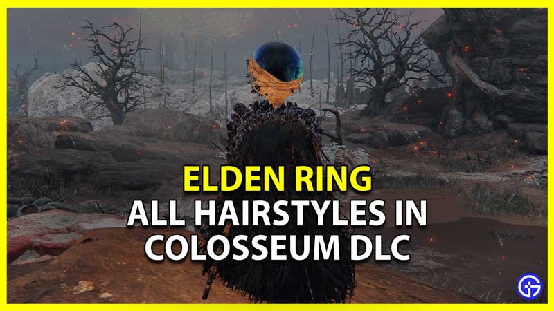 elden ring colosseum dlc new hairstyles list