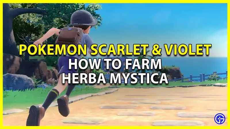 how to farm herba mystica in pokemon scarlet violet