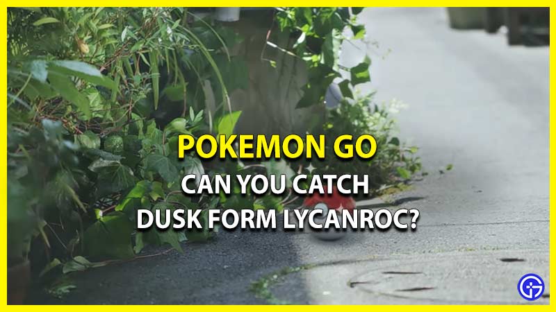 Catch Dust Form Lycanroc Pokemon GO