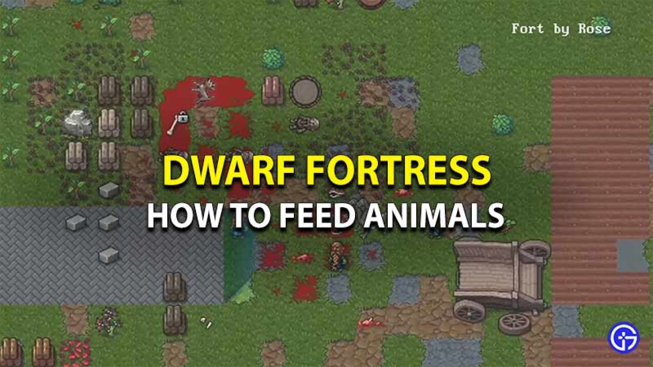 How To Feed Animals Dwarf Fortress