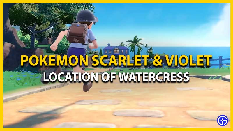 Find Watercress in Pokemon SV