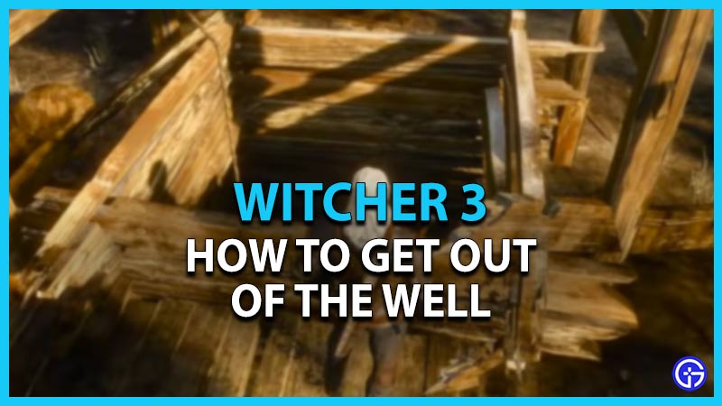witcher 3 get out of well