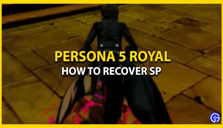 persona 5 royal cleaner