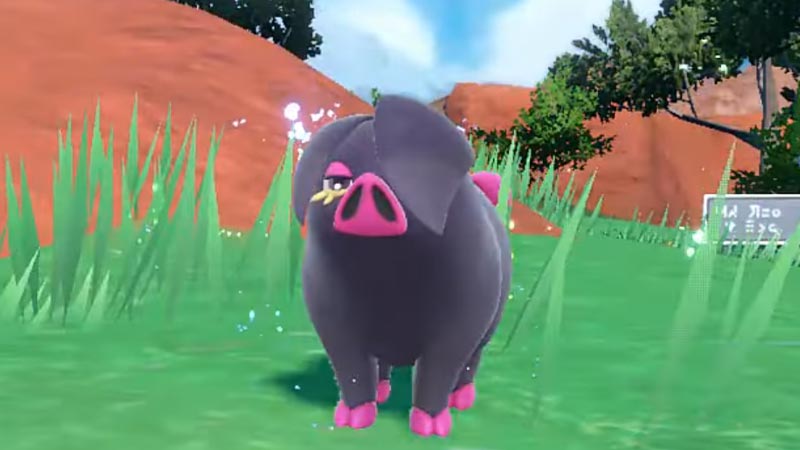 Pokemon Scarlet and Violet Best Nature for Lechonk and Oinkologne