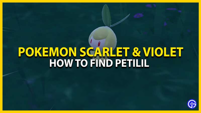 Petilil Location in Pokemon SV