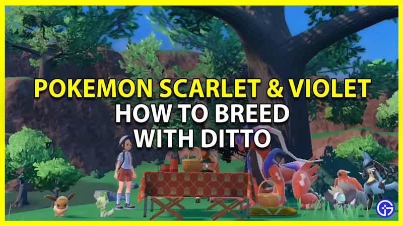 how to breed pokemon with ditto in scarlet and violet