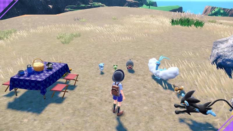 Set up picnic to force respawn