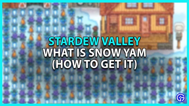 Snow Yam in Stardew Valley