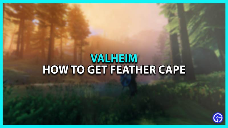 How to get Feather Cape in Valheim