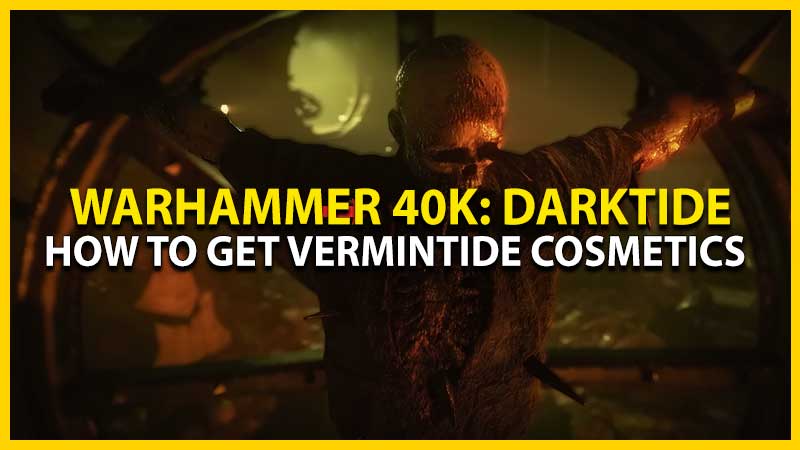 Vermintide Skins in WH40K Darktide