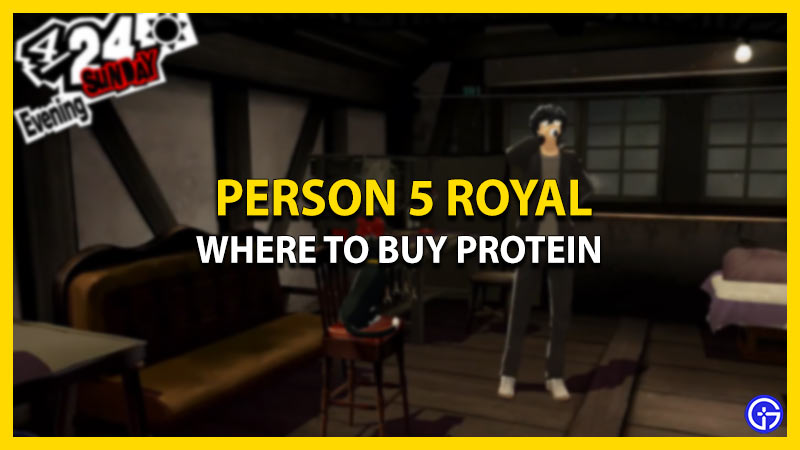 where buy protein persona 5 royal