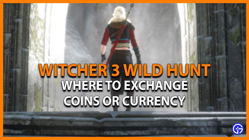 witcher 3 wild hunt exchange coins