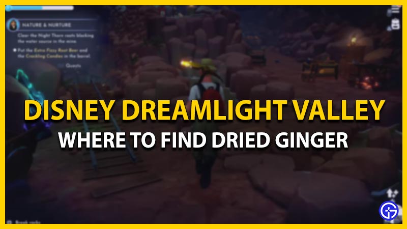Find Dried Ginger in Disney Dreamlight Valley