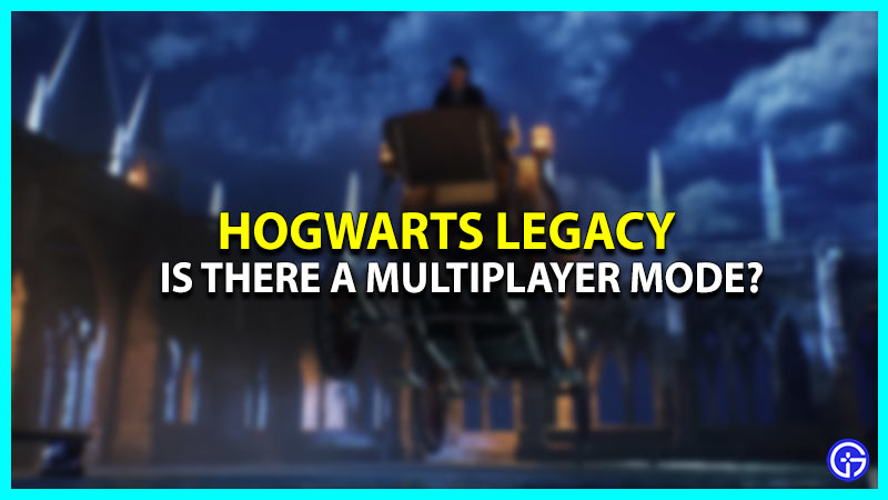 Is there a Multiplayer Mode in Hogwarts Legacy