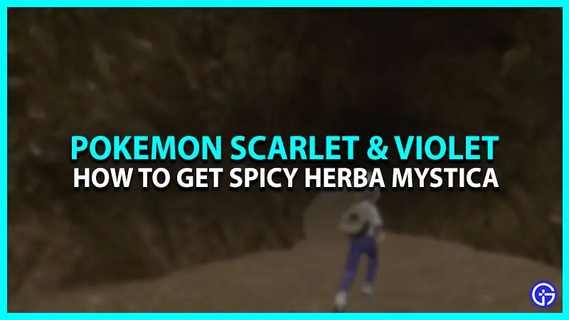 How To Get Spicy Herba Mystica In Pokemon Scarlet & Violet