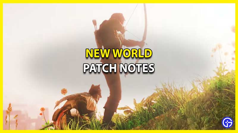 New World Patch Notes