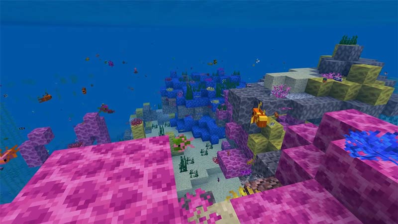 best coral reef seeds to use in minecraft