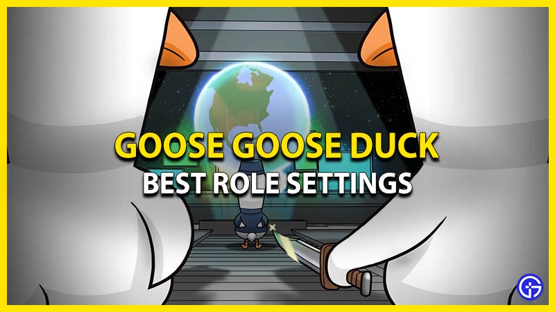 best role settings goose goose duck
