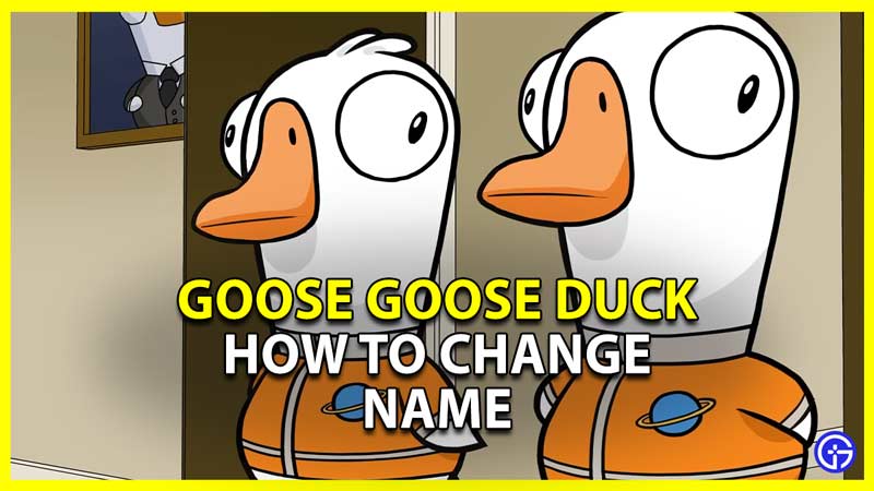 how to change your name in goose goose duck
