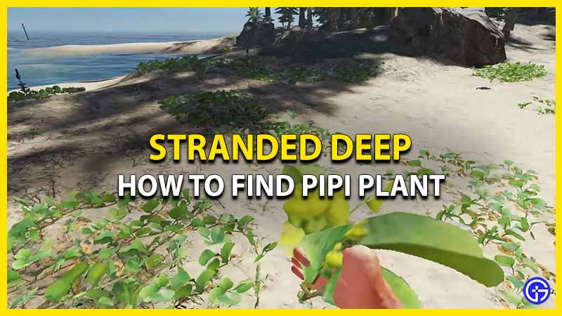 how to find pipi plant stranded deep