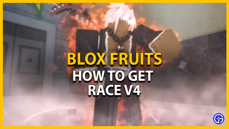 How To Get Race V4 In Blox Fruits Gamer Tweak