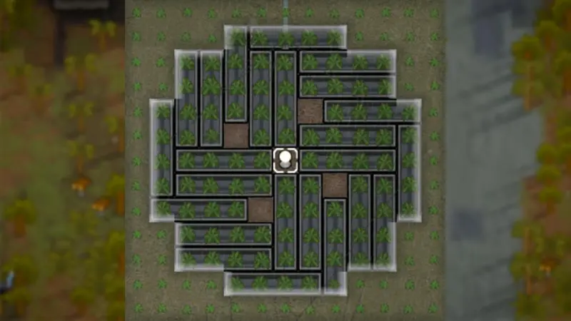 hydroponics layout