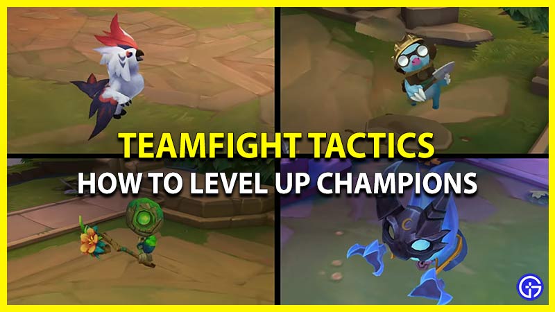 Level Up Champions in Teamfight Tactics