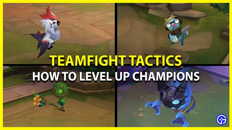 Ansættelse Ægte faldt How To Level Up Champions In Teamfight Tactics - Gamer Tweak