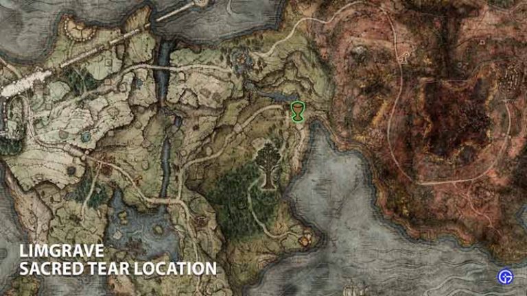 All Sacred Tear Locations In Elden Ring Where To Get Them   Limgrave Sacred Tear Location 768x432 