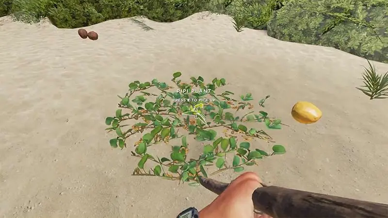 pipi plant location stranded deep 