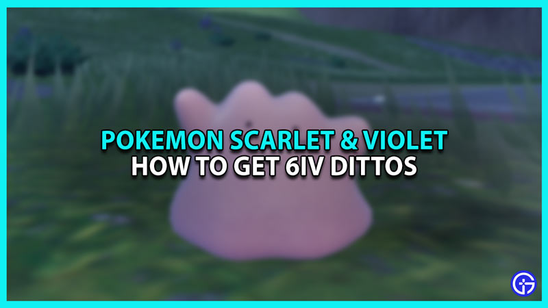 How to get 6IV Dittos in Pokemon Scarlet and Violet